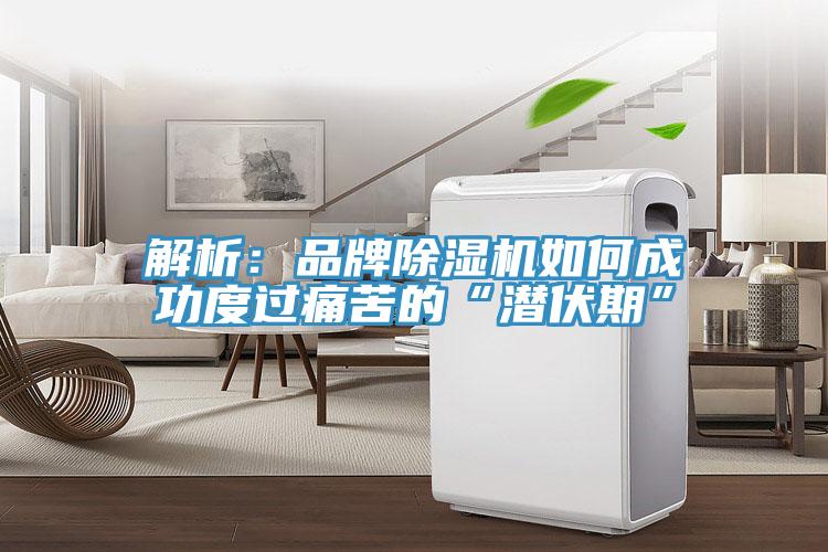 解析：品牌香蕉视频国产如何成功度過痛苦的“潛伏期”