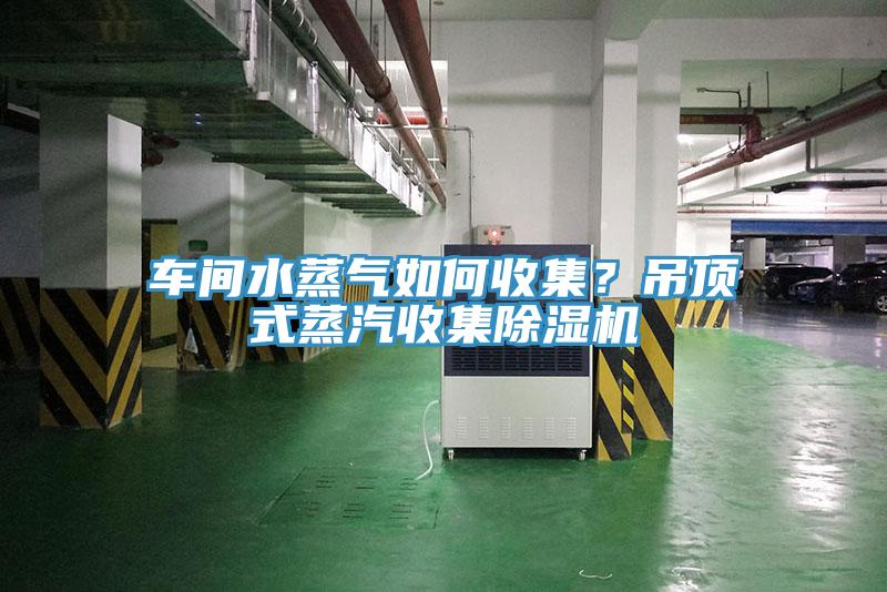 車間水蒸氣如何收集？吊頂式蒸汽收集香蕉视频国产