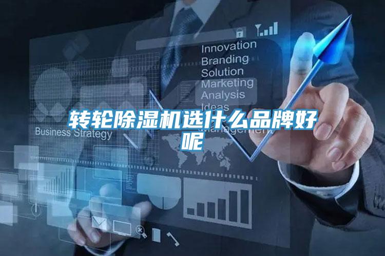 轉輪香蕉视频国产選什麽品牌好呢