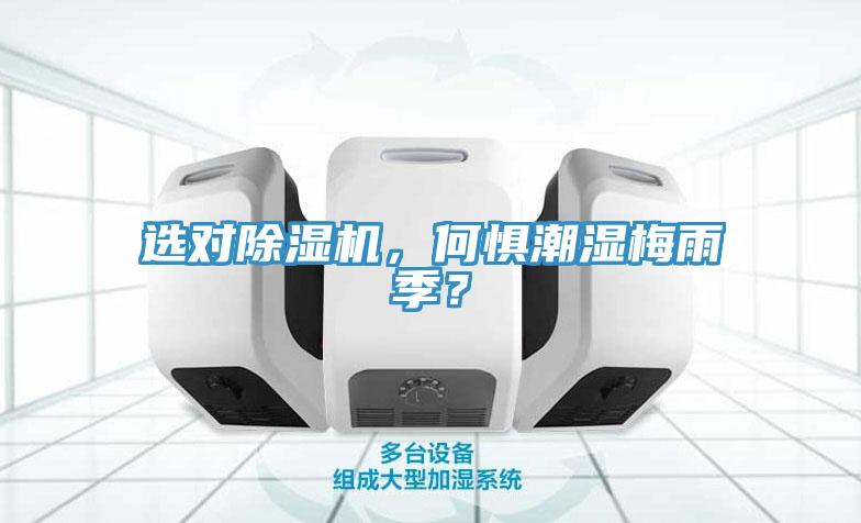 選對香蕉视频国产，何懼潮濕梅雨季？
