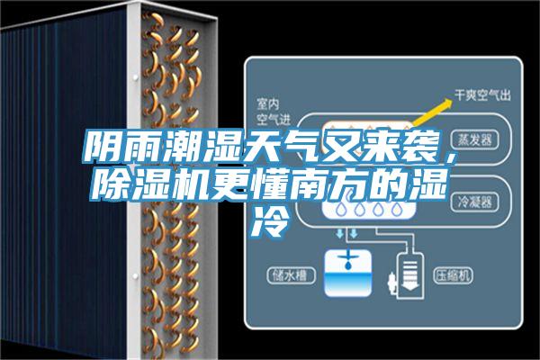 陰雨潮濕天氣又來襲，香蕉视频国产更懂南方的濕冷