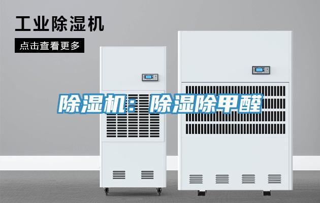 香蕉视频国产：除濕除甲醛