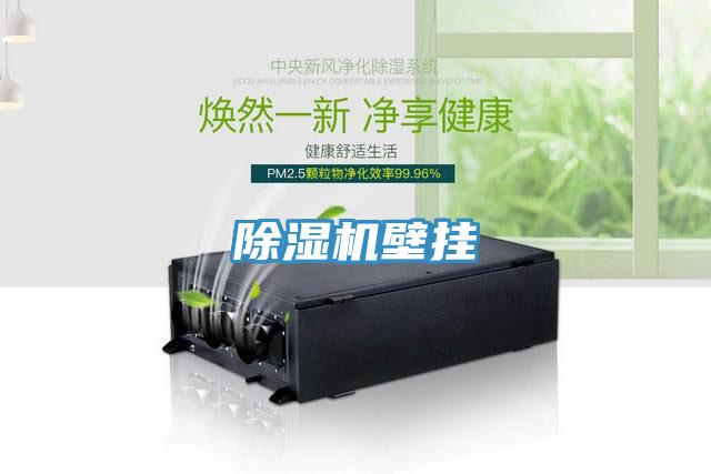 香蕉视频国产壁掛
