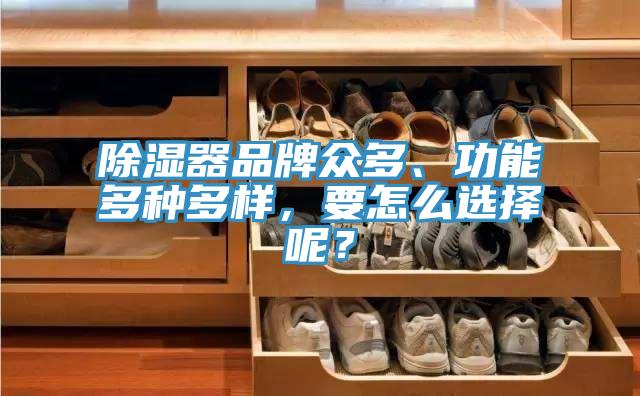 除濕器品牌眾多、功能多種多樣，要怎麽選擇呢？