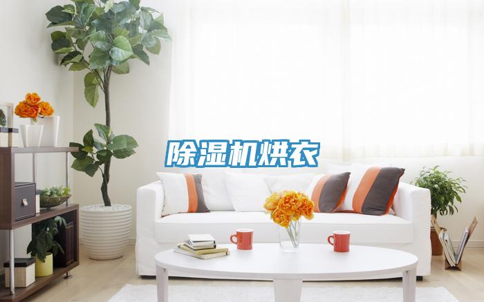 香蕉视频国产烘衣