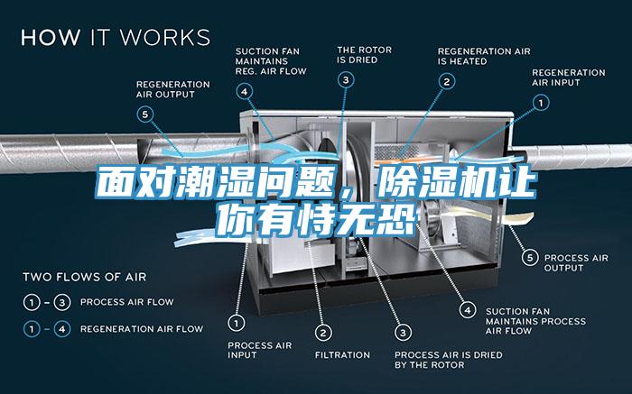 麵對潮濕問題，香蕉视频国产讓你有恃無恐