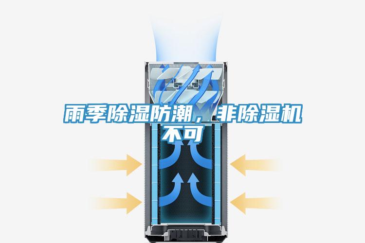 雨季除濕防潮，非香蕉视频国产不可