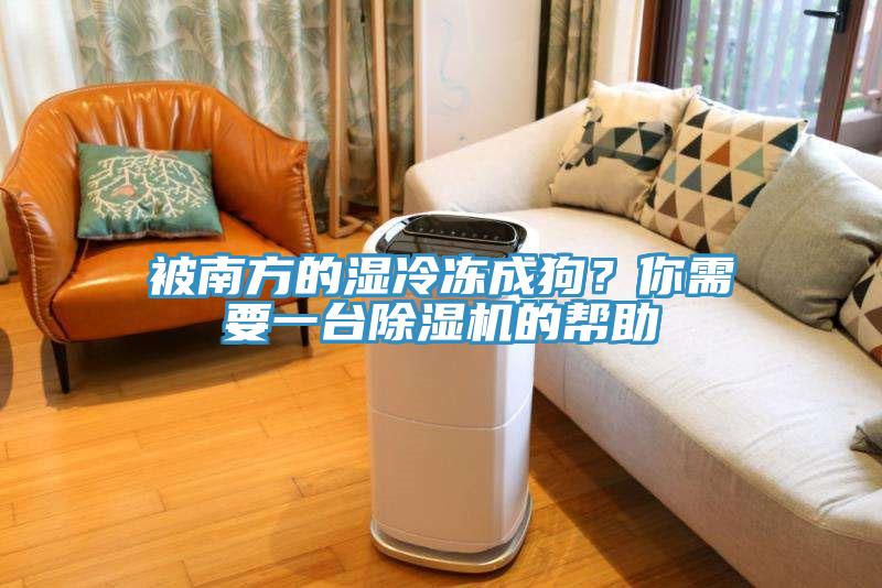 被南方的濕冷凍成狗？你需要一台香蕉视频国产的幫助