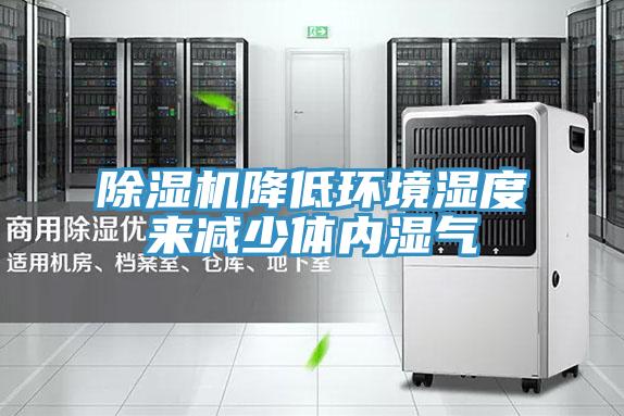 香蕉视频国产降低環境濕度來減少體內濕氣