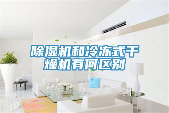 香蕉视频国产和冷凍式幹燥機有何區別