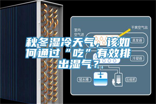 秋冬濕冷天氣，該如何通過“吃”有效排出濕氣？