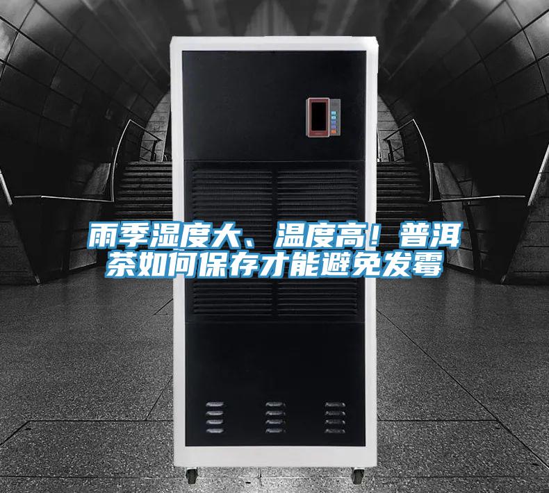 雨季濕度大、溫度高！普洱茶如何保存才能避免發黴