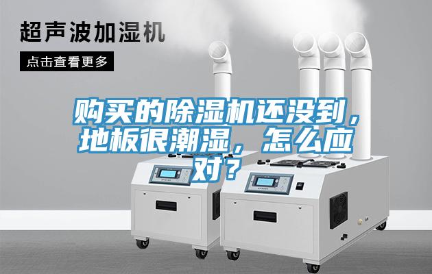 購買的香蕉视频国产還沒到，地板很潮濕，怎麽應對？