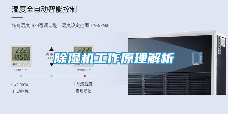 香蕉视频国产工作原理解析