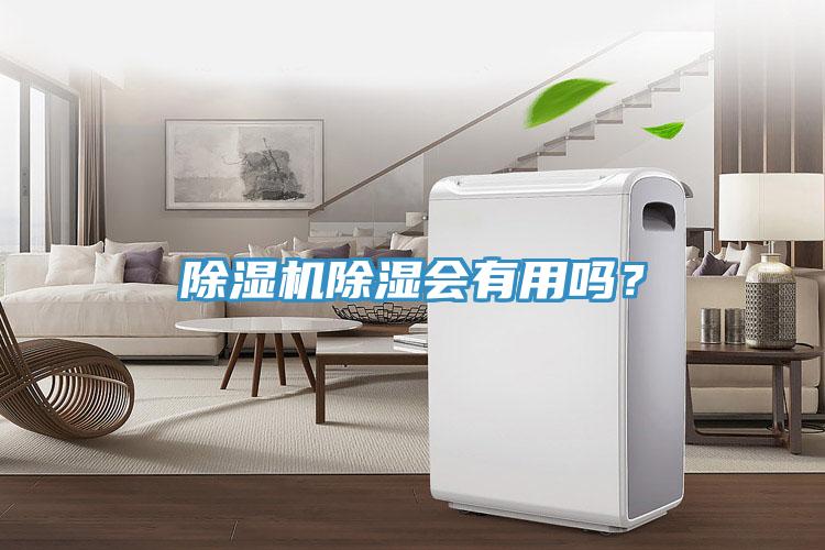 香蕉视频国产除濕會有用嗎？