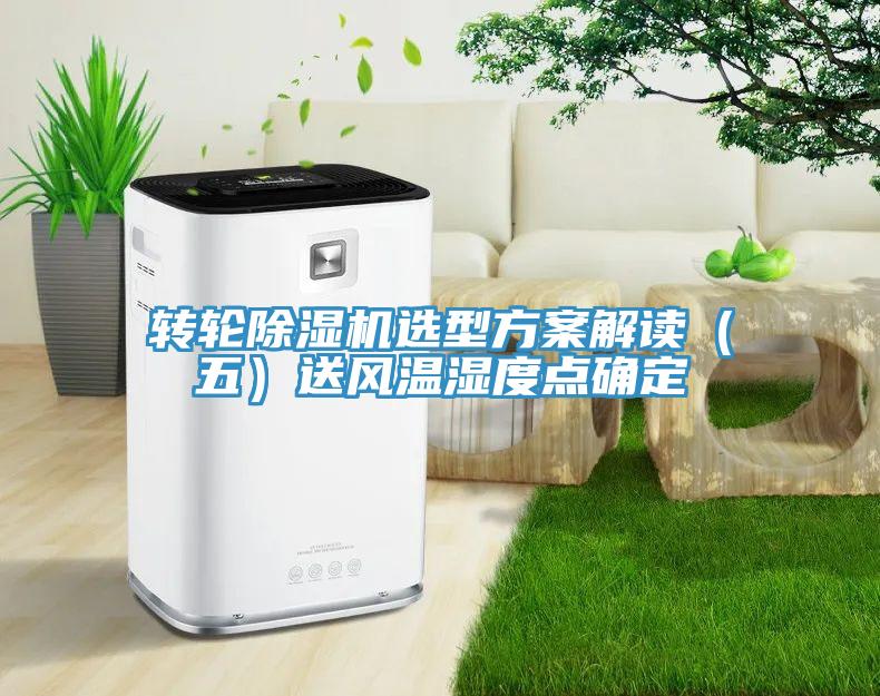轉輪香蕉视频国产選型方案解讀（五）送風溫濕度點確定