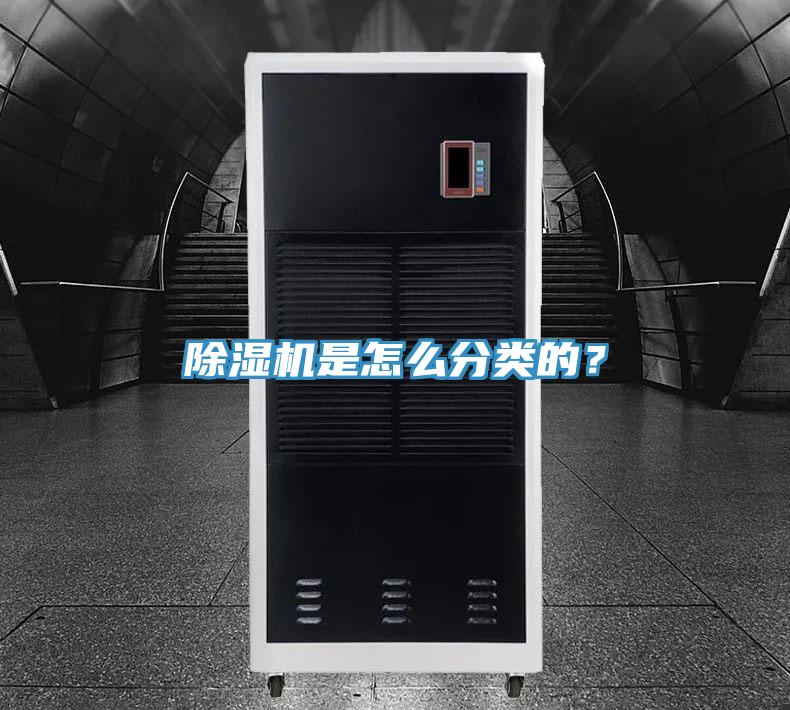 香蕉视频国产是怎麽分類的？