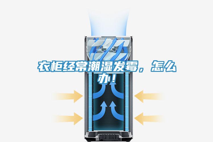 衣櫃經常潮濕發黴，怎麽辦！