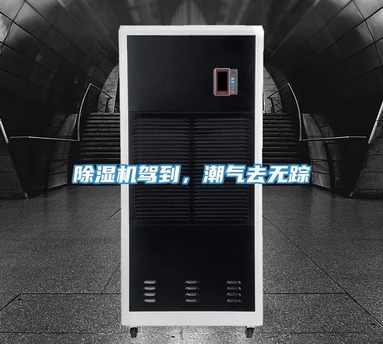 香蕉视频国产駕到，潮氣去無蹤