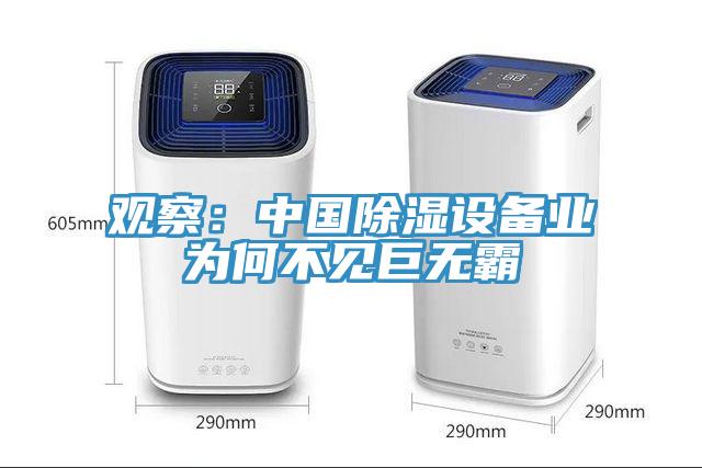 觀察：中國除濕設備業為何不見巨無霸