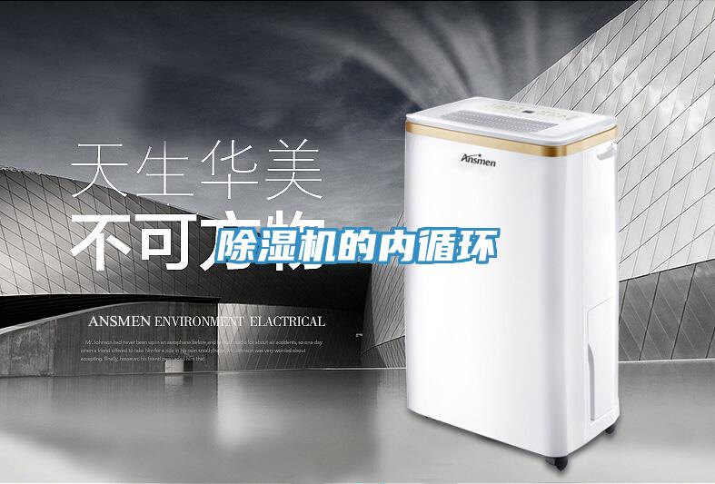 香蕉视频国产的內循環