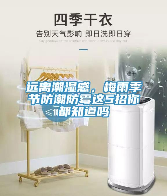 遠離潮濕感，梅雨季節防潮防黴這5招你都知道嗎