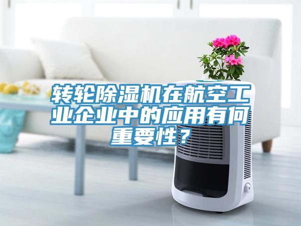 轉輪香蕉视频国产在航空工業企業中的應用有何重要性？