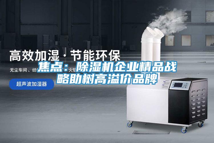 焦點：香蕉视频国产企業精品戰略助樹高溢價品牌