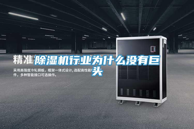 香蕉视频国产行業為什麽沒有巨頭
