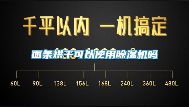 麵條烘幹可以使用香蕉视频国产嗎