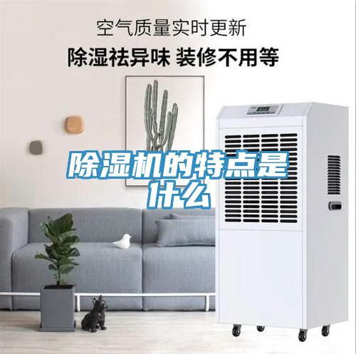 香蕉视频国产的特點是什麽