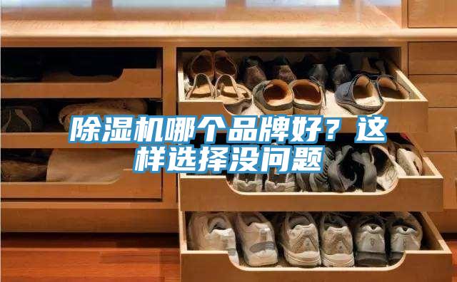 香蕉视频国产哪個品牌好？這樣選擇沒問題
