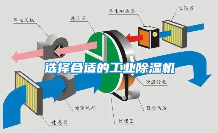 選擇合適的工業香蕉视频国产