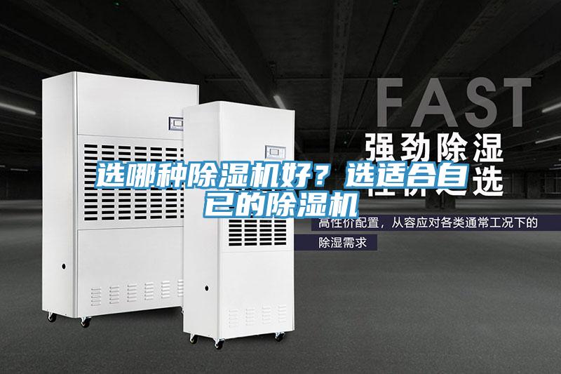 選哪種香蕉视频国产好？選適合自已的香蕉视频国产