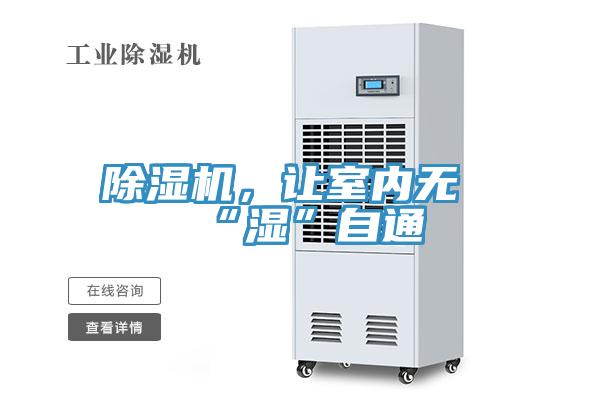 香蕉视频国产，讓室內無“濕”自通