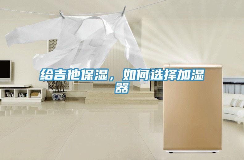 給吉他保濕，如何選擇加濕器