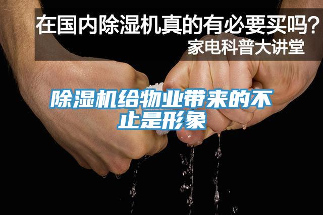香蕉视频国产給物業帶來的不止是形象