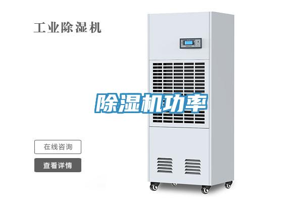 香蕉视频国产功率