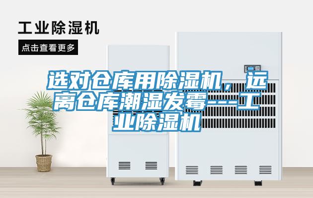 選對倉庫用香蕉视频国产，遠離倉庫潮濕發黴---工業香蕉视频国产