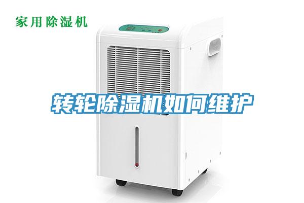 轉輪香蕉视频国产如何維護