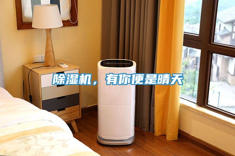 香蕉视频国产，有你便是晴天
