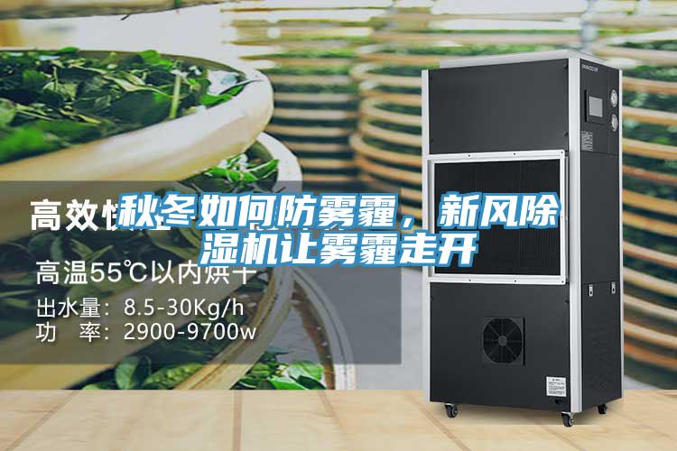 秋冬如何防霧霾，新風香蕉视频国产讓霧霾走開
