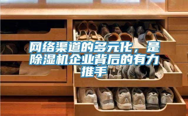 網絡渠道的多元化，是香蕉视频国产企業背後的有力推手