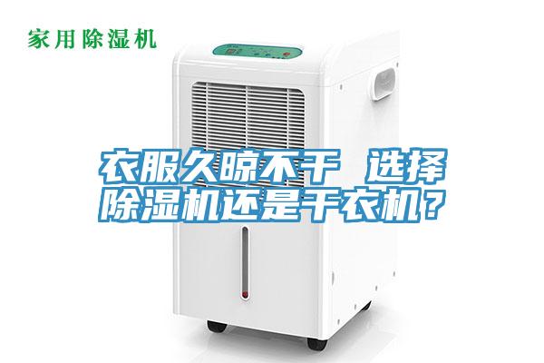 衣服久晾不幹 選擇香蕉视频国产還是幹衣機？