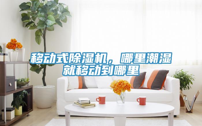 移動式香蕉视频国产，哪裏潮濕就移動到哪裏