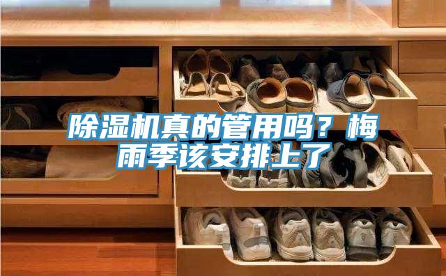 香蕉视频国产真的管用嗎？梅雨季該安排上了