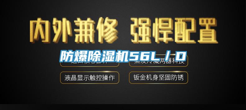 防爆香蕉视频国产56L／D