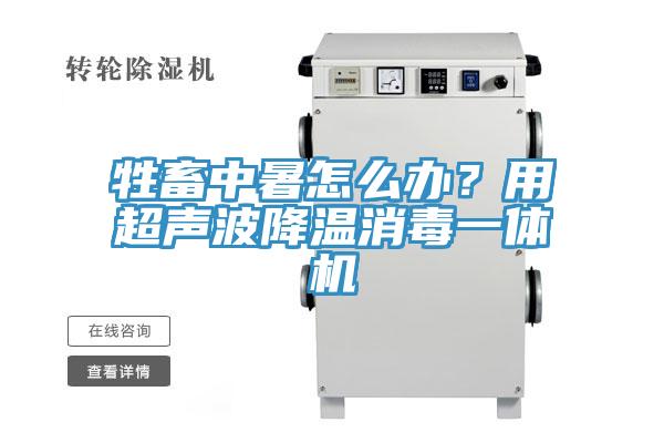 牲畜中暑怎麽辦？用超聲波降溫消毒一體機