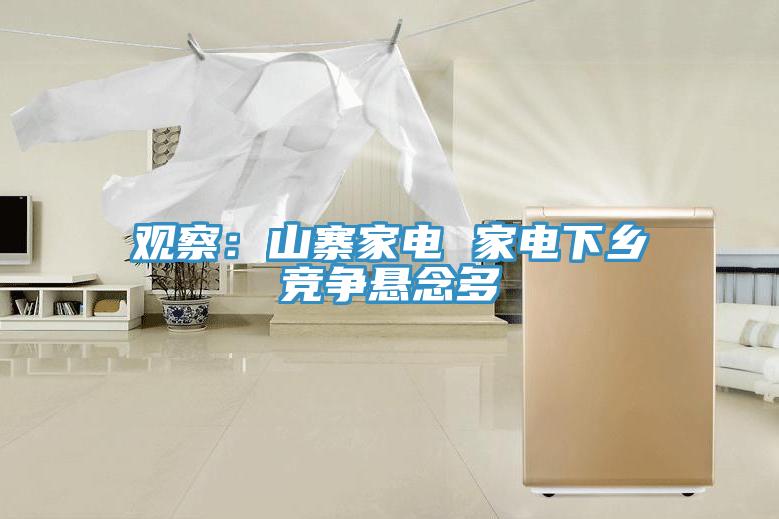 觀察：山寨家電 家電下鄉競爭懸念多