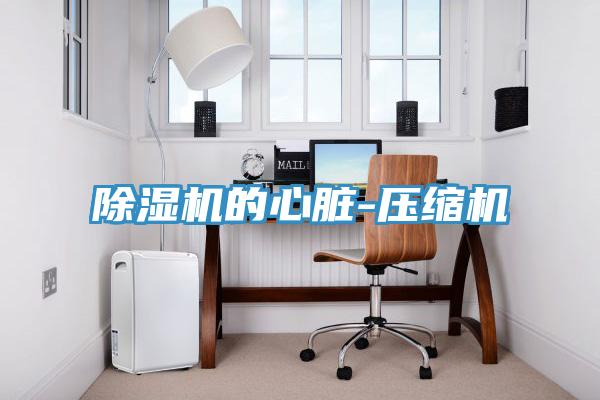 香蕉视频国产的心髒-壓縮機